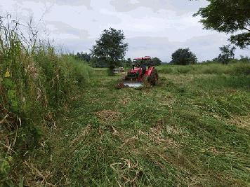 ขายที่ดิน 2 ไร่ สวย ทรงสีเหลี่ยมผืนผ้า ใกล้แม่น้ำแควน้อย อยู่บ้านท่ามะเดื่อ ต.ศรีมงคล อ.ไทรโยค จ.กาญจนบุรี